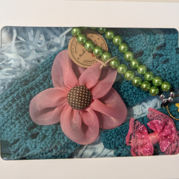 Tortoise Princess Gift Pack