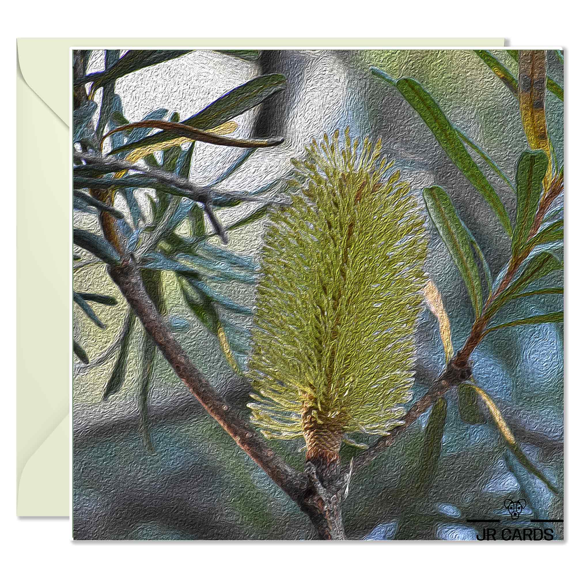Greeting Card - Banksia