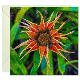 Greeting Card - Clementine