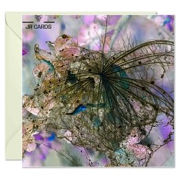 Greeting Card - Webscape