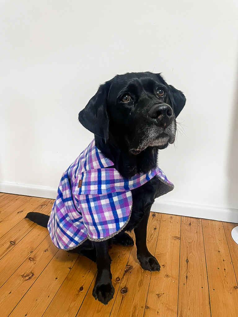 Berry Bliss Dog Coat - Image 3