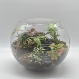 Large Fishbowl Terrarium (enclosed)