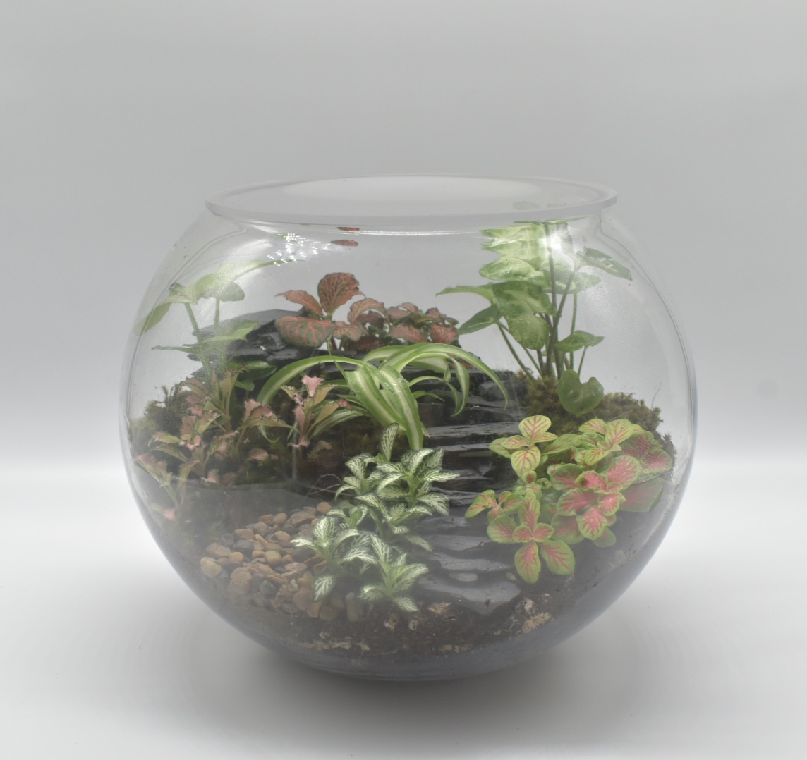 Large Fishbowl Terrarium (enclosed)